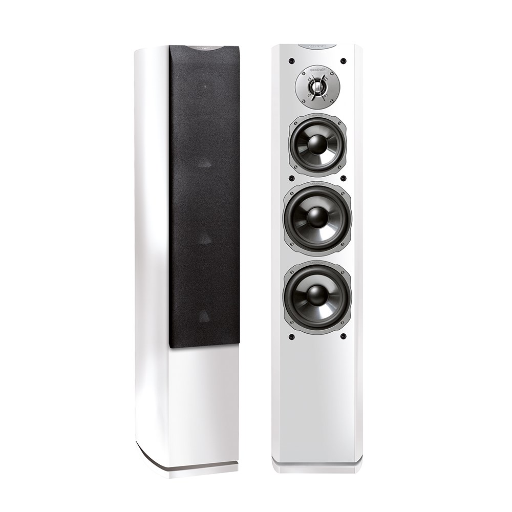 QUADRAL ASCENT 80 LE
